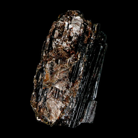 3.1" Natural Rough Black Tourmaline Mineral Crystal Specimen Schorl Brazil