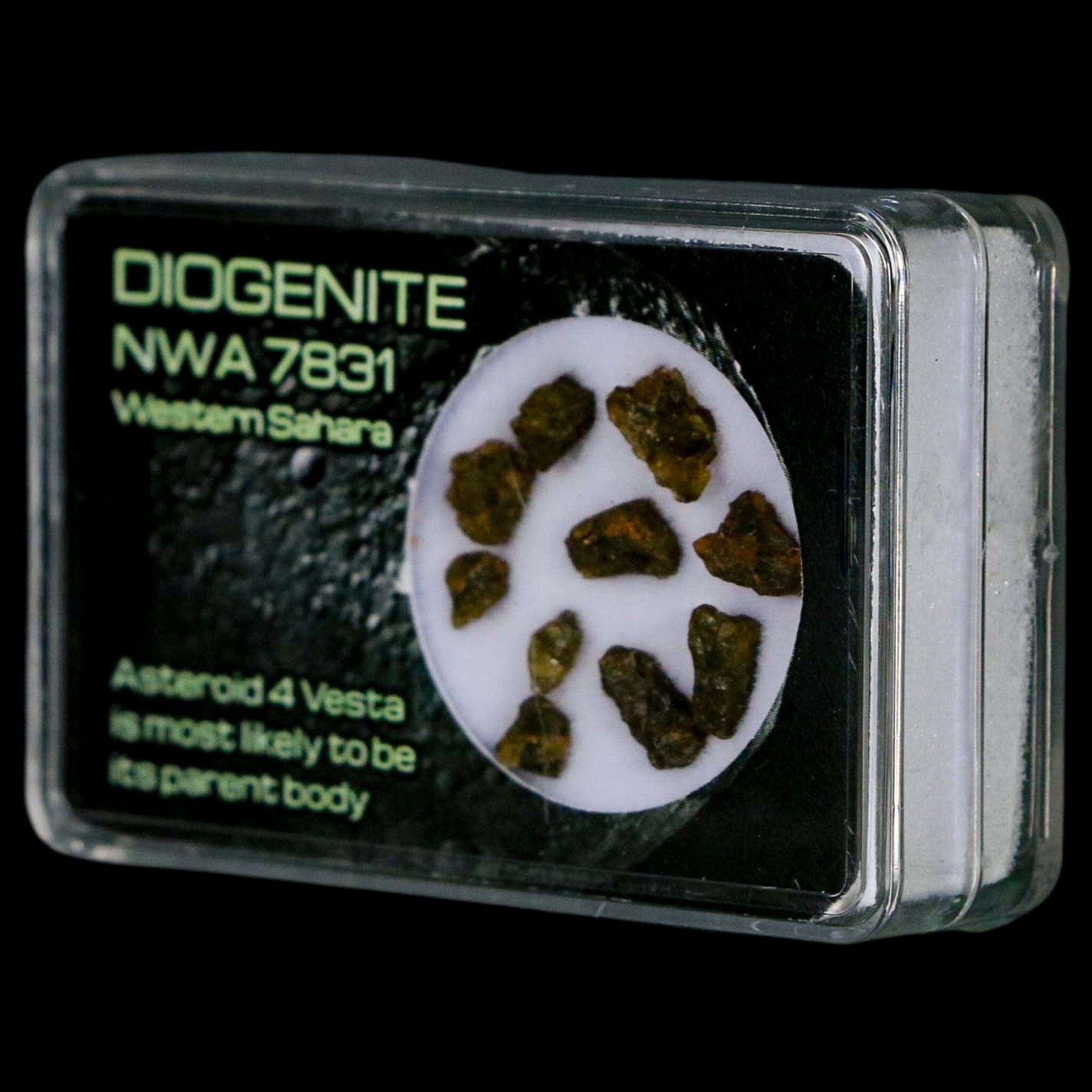 Diogenite Meteorites Asteroid 4 Vesta Specimen NMW 7831 Western Sahara Display - Fossil Age Minerals