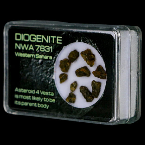 Diogenite Meteorites Asteroid 4 Vesta Specimen NMW 7831 Western Sahara Display - Fossil Age Minerals