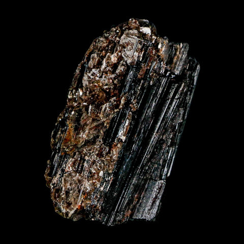 3.1" Natural Rough Black Tourmaline Mineral Crystal Specimen Schorl Brazil