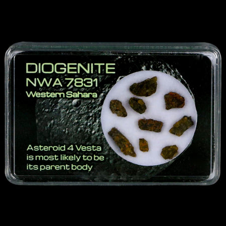 Diogenite Meteorites Asteroid 4 Vesta Specimen NMW 7831 Western Sahara Display