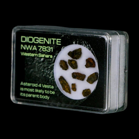 Diogenite Meteorites Asteroid 4 Vesta Specimen NMW 7831 Western Sahara Display - Fossil Age Minerals