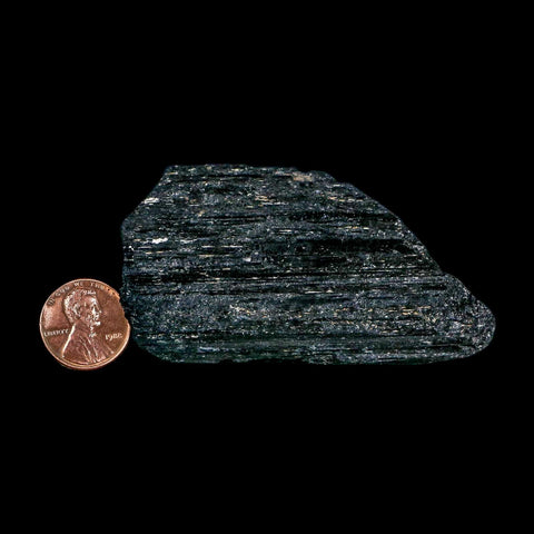 3.1" Natural Rough Black Tourmaline Mineral Crystal Specimen Schorl Brazil