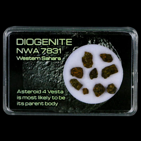 Diogenite Meteorites Asteroid 4 Vesta Specimen NMW 7831 Western Sahara Display - Fossil Age Minerals