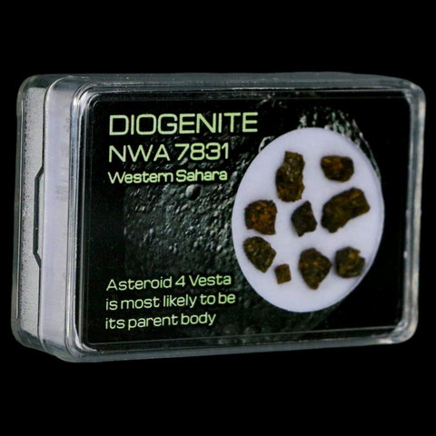Diogenite Meteorites Asteroid 4 Vesta Specimen NMW 7831 Western Sahara Display - Fossil Age Minerals