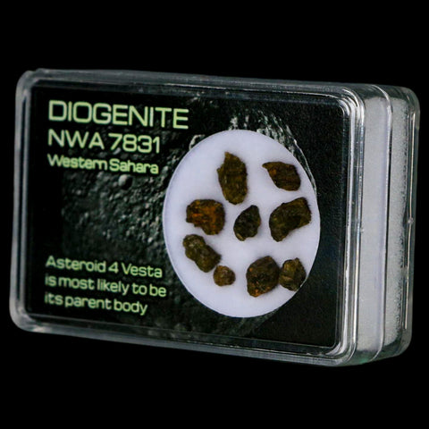 Diogenite Meteorites Asteroid 4 Vesta Specimen NMW 7831 Western Sahara Display - Fossil Age Minerals