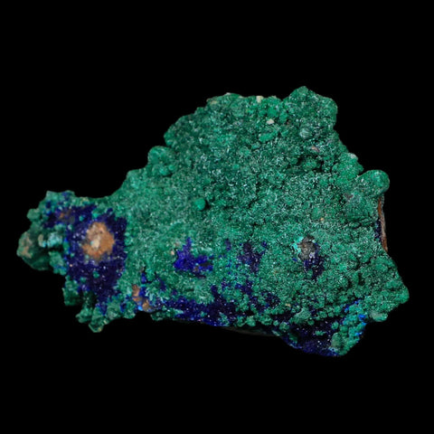 3.2" Azurite Crystals & Malachite On Matrix Mineral Specimen Tiznit Morocco - Fossil Age Minerals