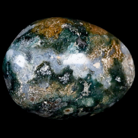 2.9" Natural Polished Ocean Jasper Crystal Palm Stone Location Madagascar
