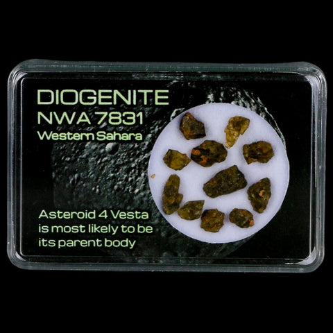 Diogenite Meteorites Asteroid 4 Vesta Specimen NMW 7831 Western Sahara Display - Fossil Age Minerals