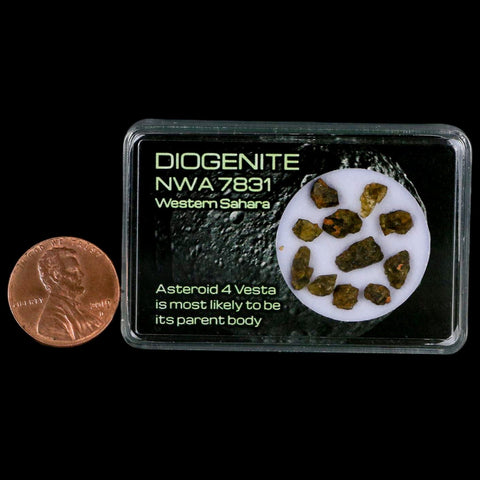 Diogenite Meteorites Asteroid 4 Vesta Specimen NMW 7831 Western Sahara Display - Fossil Age Minerals