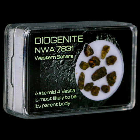Diogenite Meteorites Asteroid 4 Vesta Specimen NMW 7831 Western Sahara Display - Fossil Age Minerals