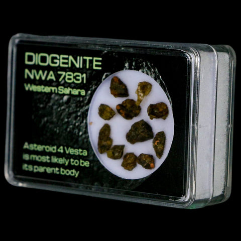 Diogenite Meteorites Asteroid 4 Vesta Specimen NMW 7831 Western Sahara Display - Fossil Age Minerals