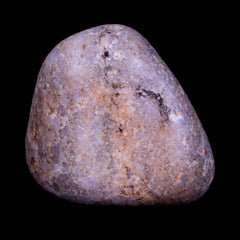 Gastrolith Stone Collection