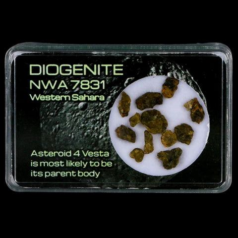 Diogenite Meteorites Asteroid 4 Vesta Specimen NMW 7831 Western Sahara Display - Fossil Age Minerals