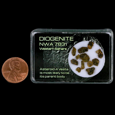 Diogenite Meteorites Asteroid 4 Vesta Specimen NMW 7831 Western Sahara Display - Fossil Age Minerals