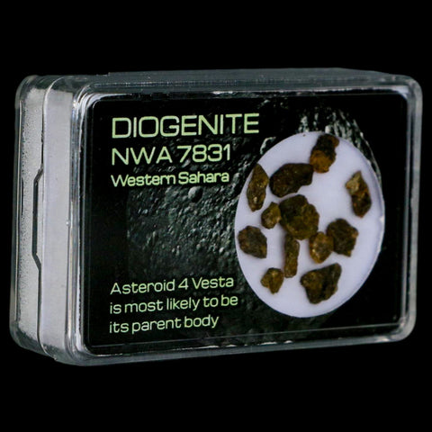 Diogenite Meteorites Asteroid 4 Vesta Specimen NMW 7831 Western Sahara Display - Fossil Age Minerals