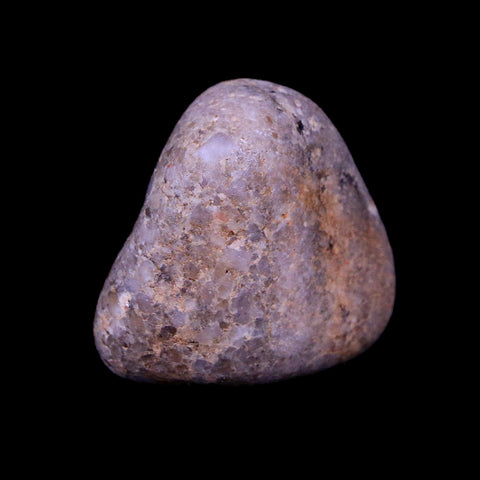 1.1" Sauropod Dinosaur Stomach Stone Gastrolith Rock Gizzard Stone COA - Fossil Age Minerals