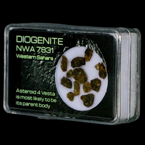 Diogenite Meteorites Asteroid 4 Vesta Specimen NMW 7831 Western Sahara Display - Fossil Age Minerals