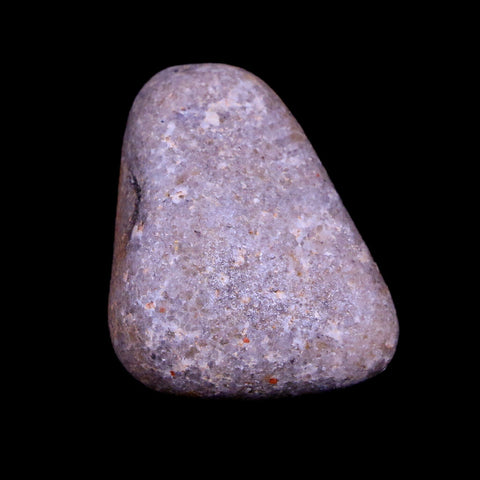 1.1" Sauropod Dinosaur Stomach Stone Gastrolith Rock Gizzard Stone COA - Fossil Age Minerals