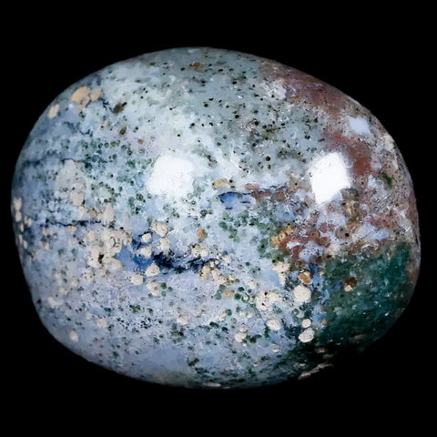2.4" Natural Polished Ocean Jasper Crystal Palm Stone Location Madagascar Healing - Fossil Age Minerals