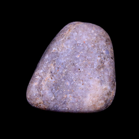 1.1" Sauropod Dinosaur Stomach Stone Gastrolith Rock Gizzard Stone COA - Fossil Age Minerals