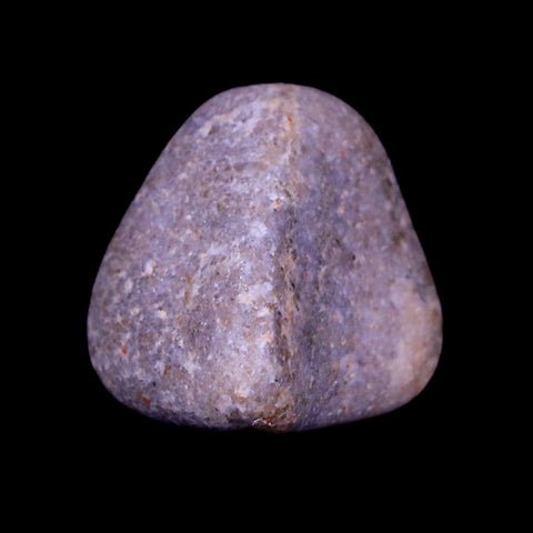 1.1" Sauropod Dinosaur Stomach Stone Gastrolith Rock Gizzard Stone COA - Fossil Age Minerals