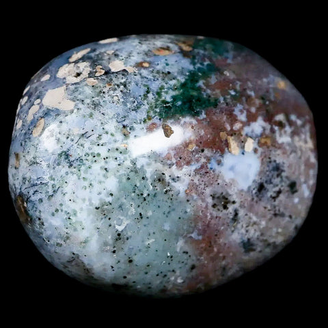 2.4" Natural Polished Ocean Jasper Crystal Palm Stone Location Madagascar Healing - Fossil Age Minerals