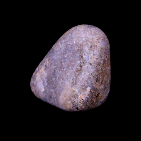 1.1" Sauropod Dinosaur Stomach Stone Gastrolith Rock Gizzard Stone COA - Fossil Age Minerals