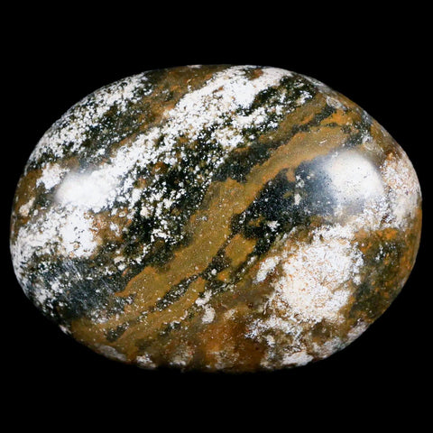 2.7" Natural Polished Ocean Jasper Crystal Palm Stone Location Madagascar Healing - Fossil Age Minerals