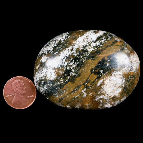 2.7" Natural Polished Ocean Jasper Crystal Palm Stone Location Madagascar Healing - Fossil Age Minerals