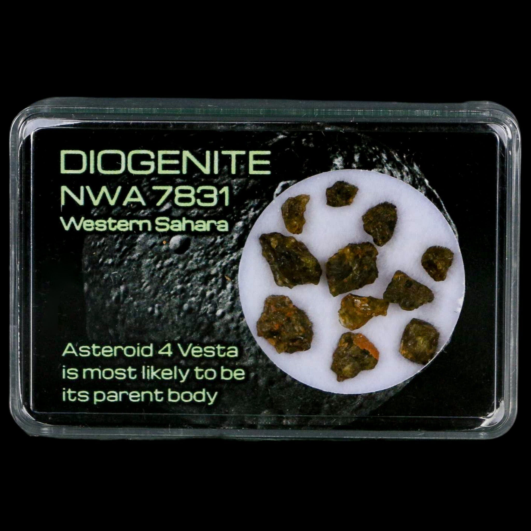 Diogenite Meteorites Asteroid 4 Vesta Specimen NMW 7831 Western Sahara Display - Fossil Age Minerals