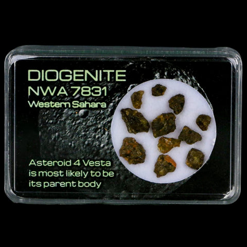 Diogenite Meteorites Asteroid 4 Vesta Specimen NMW 7831 Western Sahara Display - Fossil Age Minerals