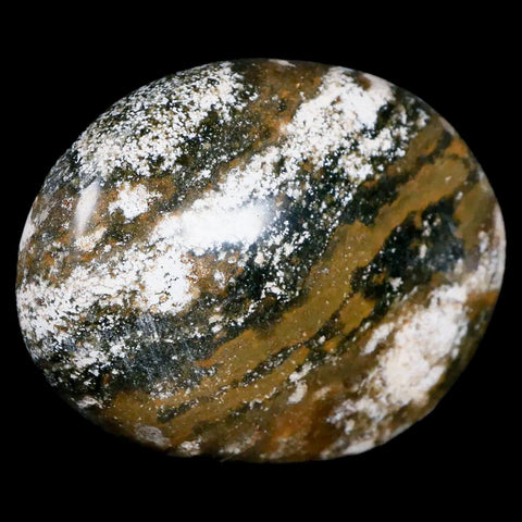 2.7" Natural Polished Ocean Jasper Crystal Palm Stone Location Madagascar Healing - Fossil Age Minerals