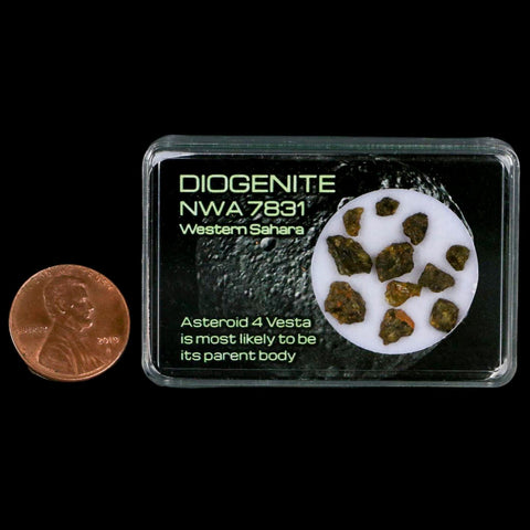 Diogenite Meteorites Asteroid 4 Vesta Specimen NMW 7831 Western Sahara Display - Fossil Age Minerals