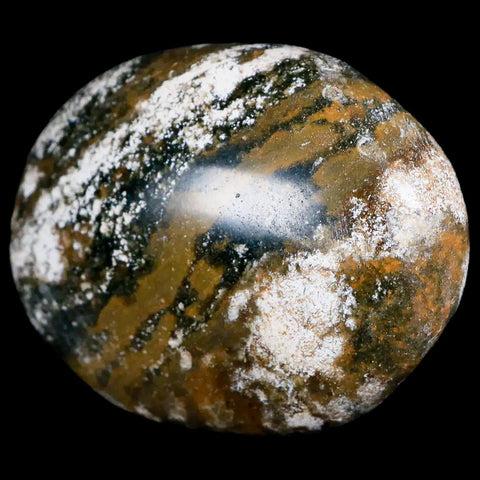 2.7" Natural Polished Ocean Jasper Crystal Palm Stone Location Madagascar Healing - Fossil Age Minerals