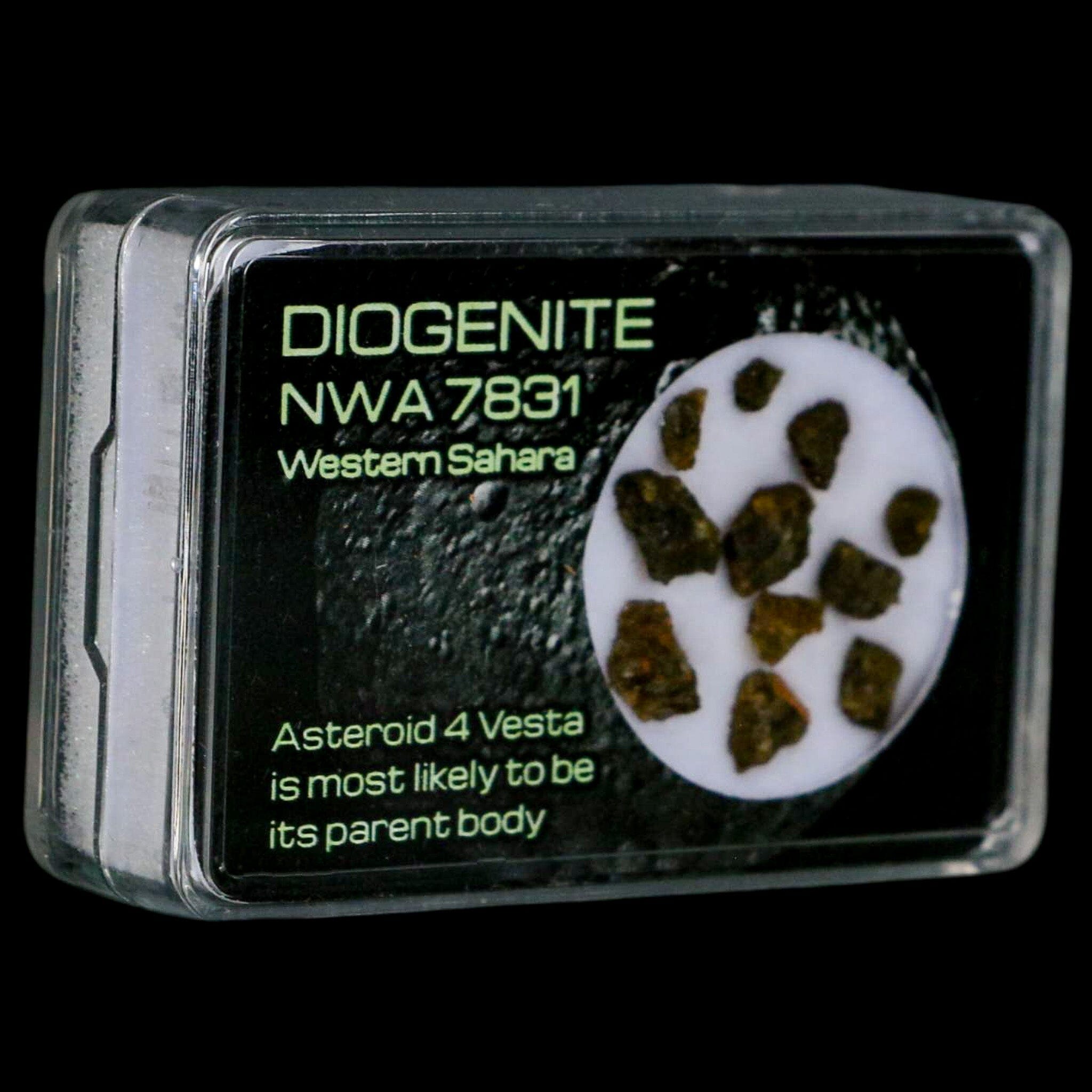 Diogenite Meteorites Asteroid 4 Vesta Specimen NMW 7831 Western Sahara Display - Fossil Age Minerals
