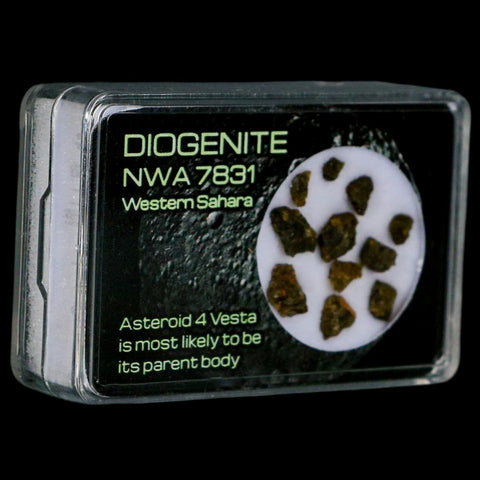 Diogenite Meteorites Asteroid 4 Vesta Specimen NMW 7831 Western Sahara Display - Fossil Age Minerals