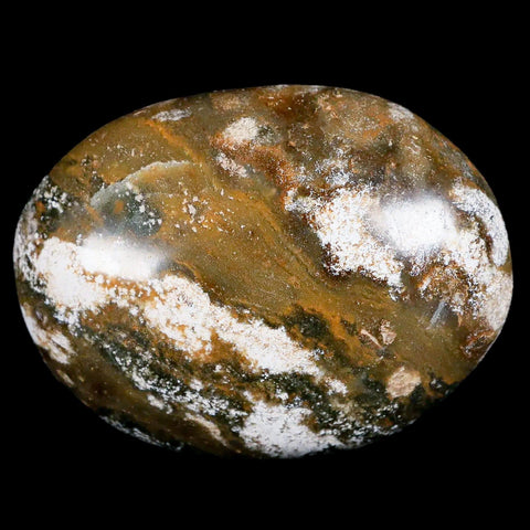 2.7" Natural Polished Ocean Jasper Crystal Palm Stone Location Madagascar Healing - Fossil Age Minerals