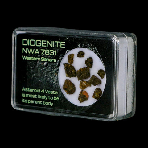 Diogenite Meteorites Asteroid 4 Vesta Specimen NMW 7831 Western Sahara Display - Fossil Age Minerals