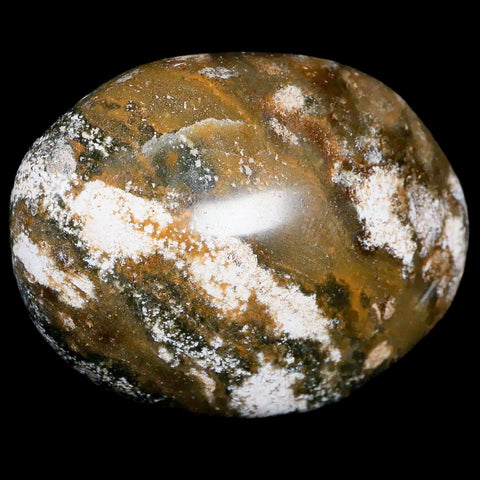 2.7" Natural Polished Ocean Jasper Crystal Palm Stone Location Madagascar Healing - Fossil Age Minerals