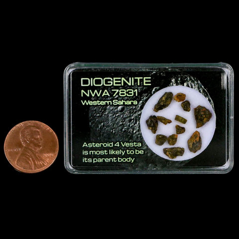Diogenite Meteorites Asteroid 4 Vesta Specimen NMW 7831 Western Sahara Display - Fossil Age Minerals