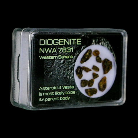 Diogenite Meteorites Asteroid 4 Vesta Specimen NMW 7831 Western Sahara Display - Fossil Age Minerals
