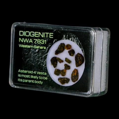 Diogenite Meteorites Asteroid 4 Vesta Specimen NMW 7831 Western Sahara Display - Fossil Age Minerals