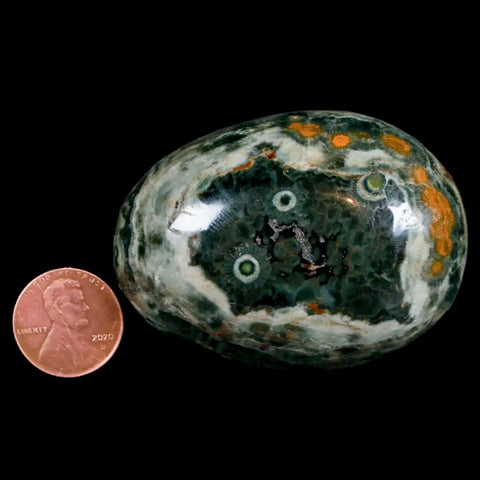 2.8" Natural Polished Ocean Jasper Crystal Palm Stone Location Madagascar Healing - Fossil Age Minerals