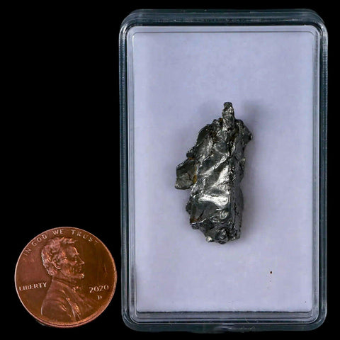 Campo Del Cielo Meteorite Gran Chaco Gualamba Argentina COA, Display 7 Grams - Fossil Age Minerals