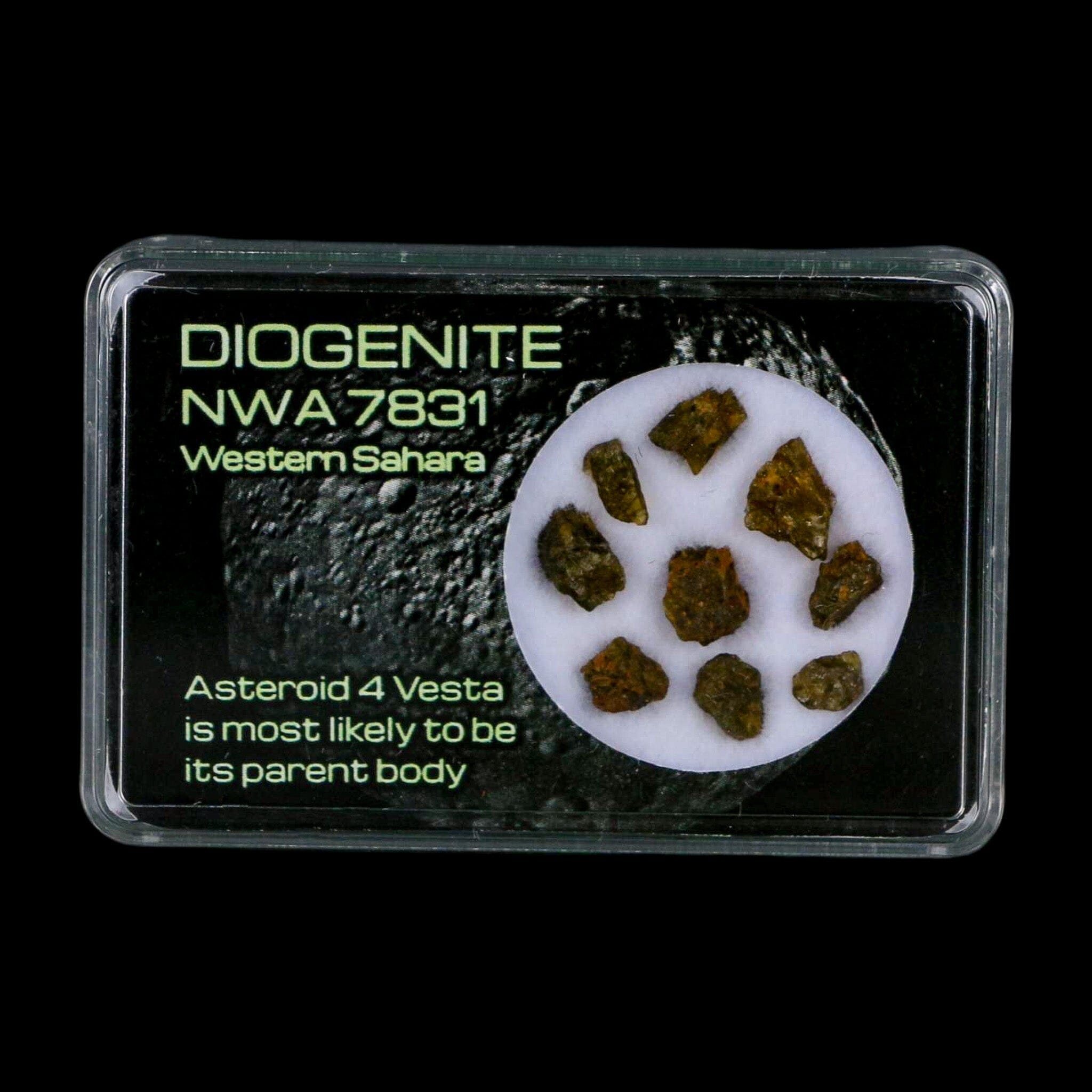 Diogenite Meteorites Asteroid 4 Vesta Specimen NMW 7831 Western Sahara Display - Fossil Age Minerals
