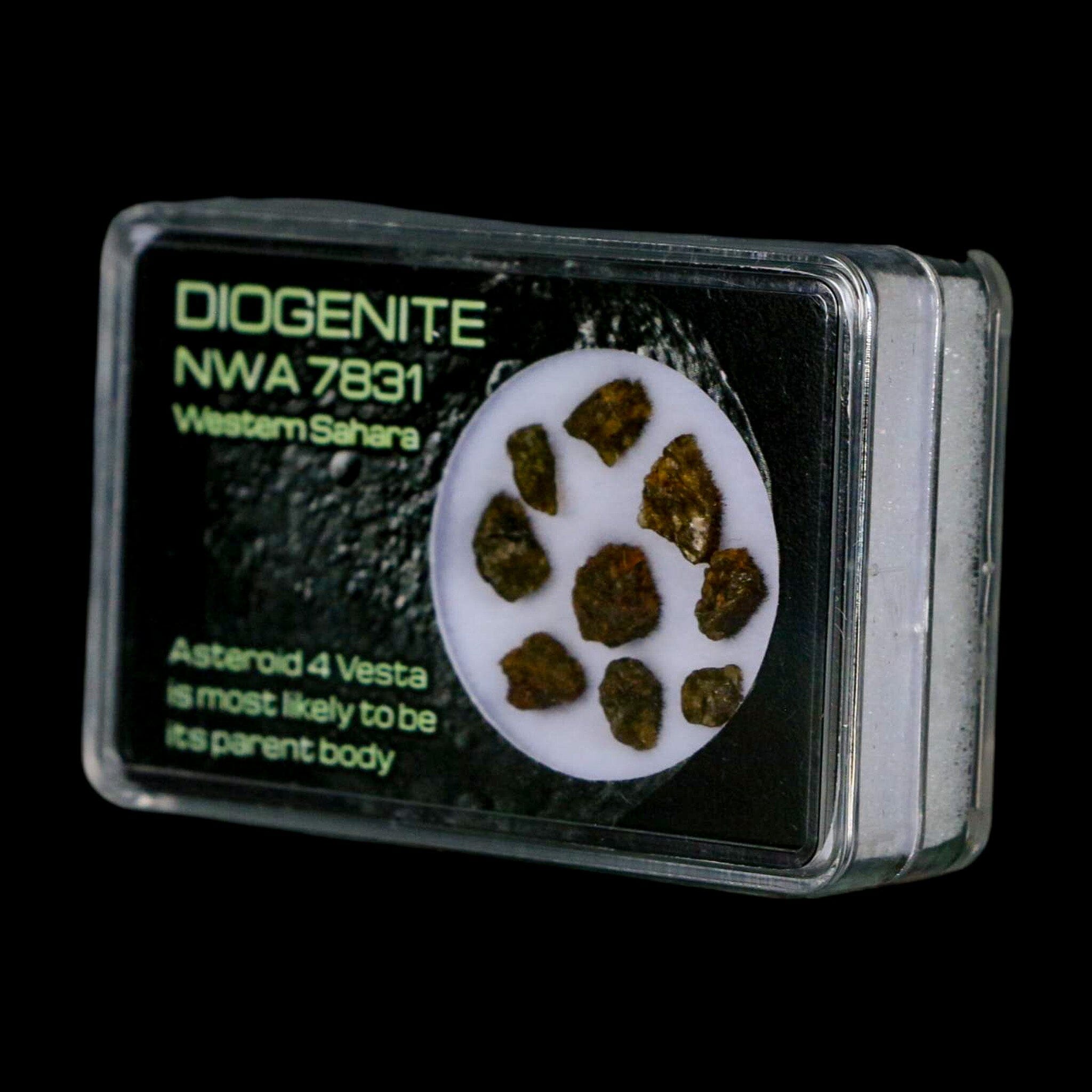 Diogenite Meteorites Asteroid 4 Vesta Specimen NMW 7831 Western Sahara Display - Fossil Age Minerals