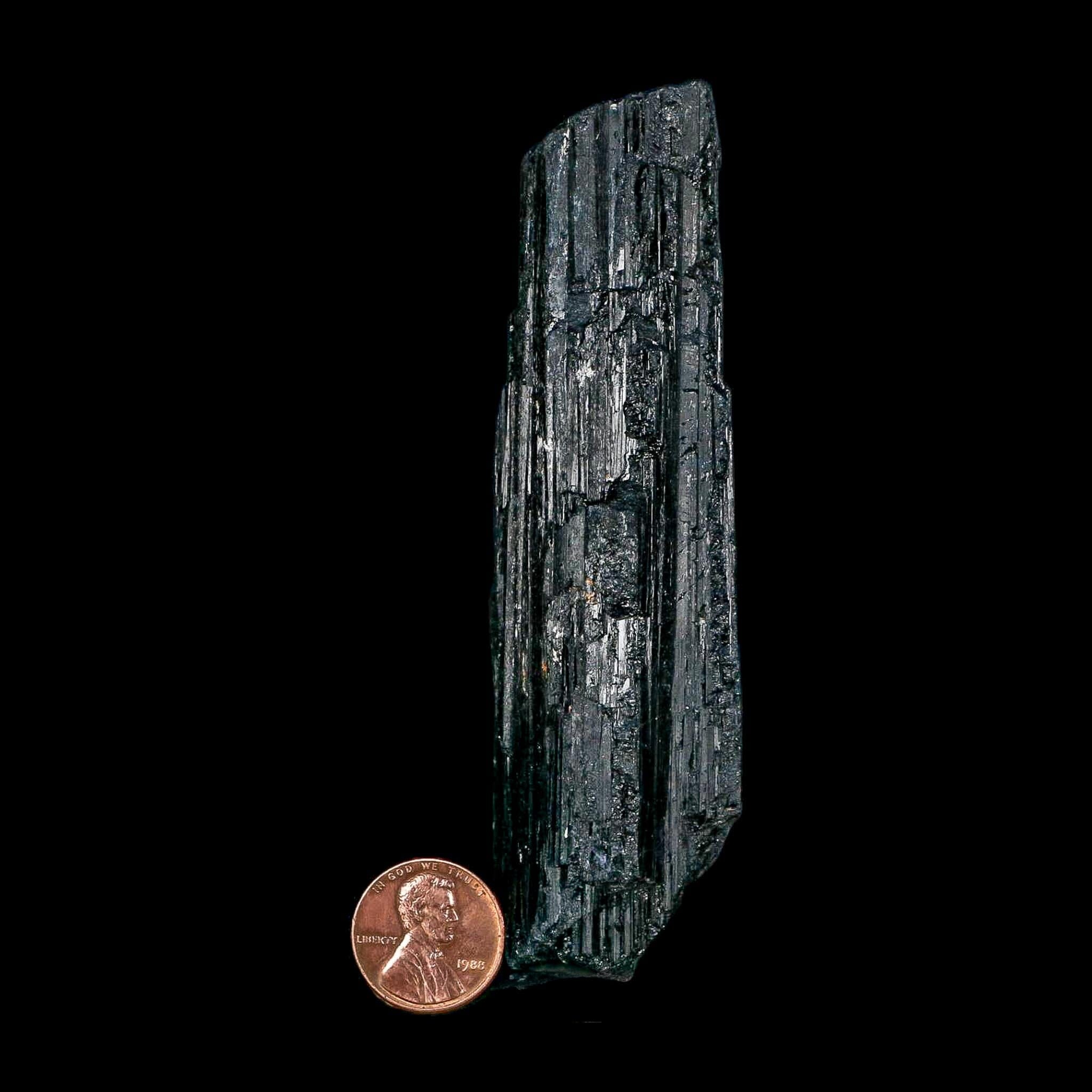4.4" Natural Rough Black Tourmaline Mineral Crystal Specimen Schorl Brazil - Fossil Age Minerals