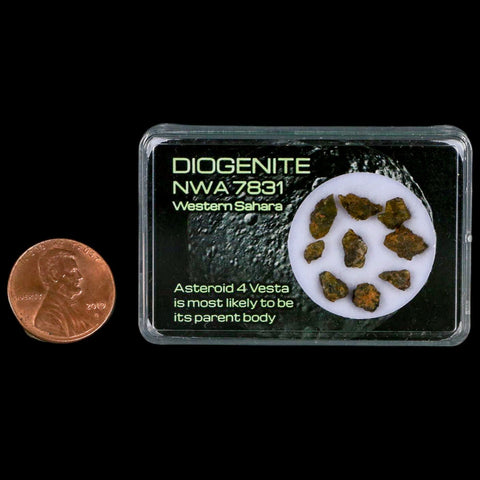 Diogenite Meteorites Asteroid 4 Vesta Specimen NMW 7831 Western Sahara Display - Fossil Age Minerals