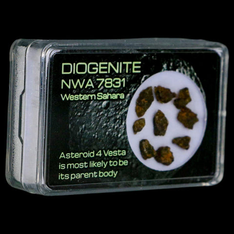 Diogenite Meteorites Asteroid 4 Vesta Specimen NMW 7831 Western Sahara Display - Fossil Age Minerals